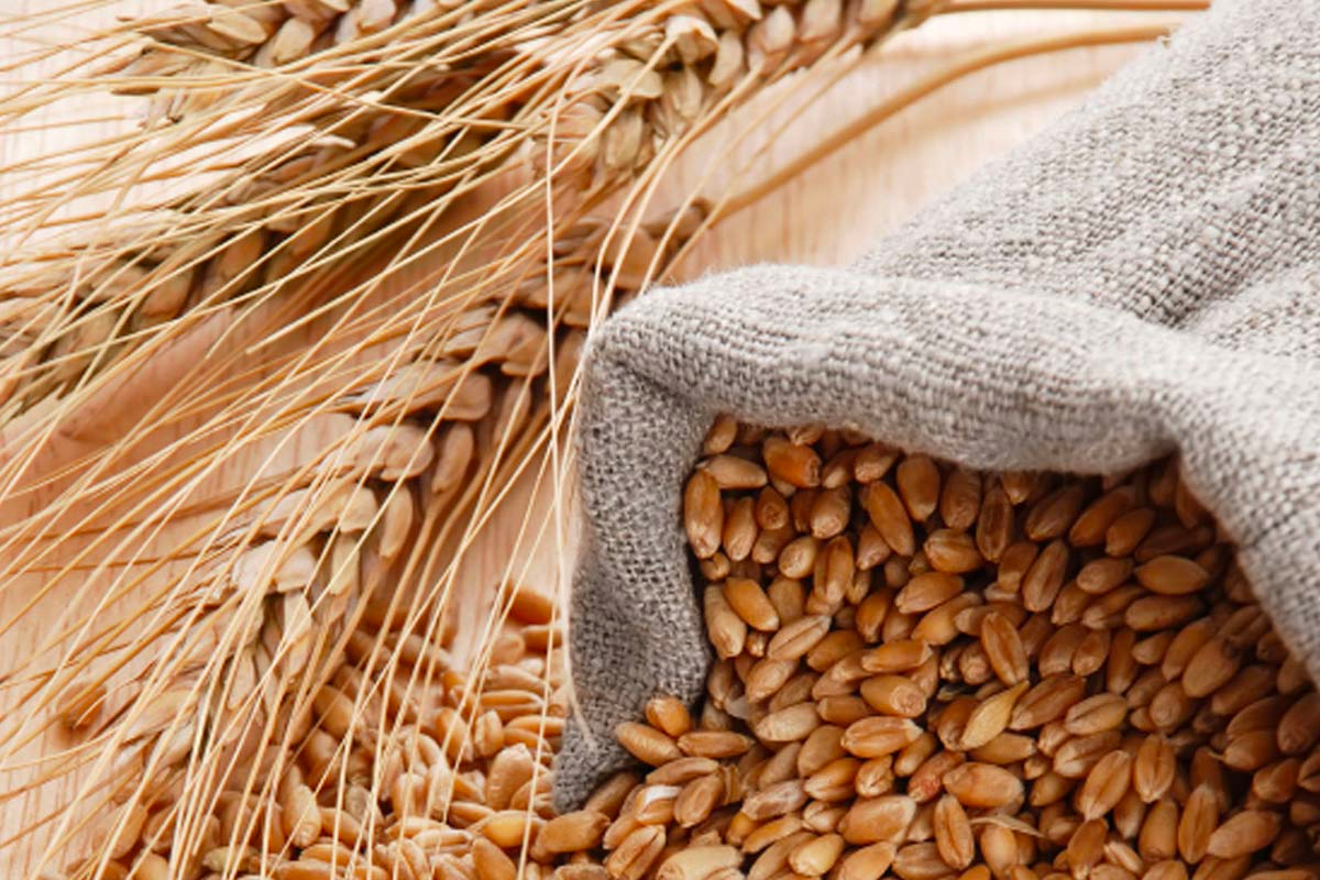 pane di rimacino